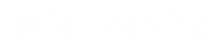 Lydia Hogeling | Coaching bij leiderschapsvraagstukken